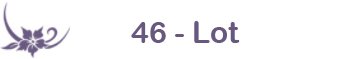 46 - Lot